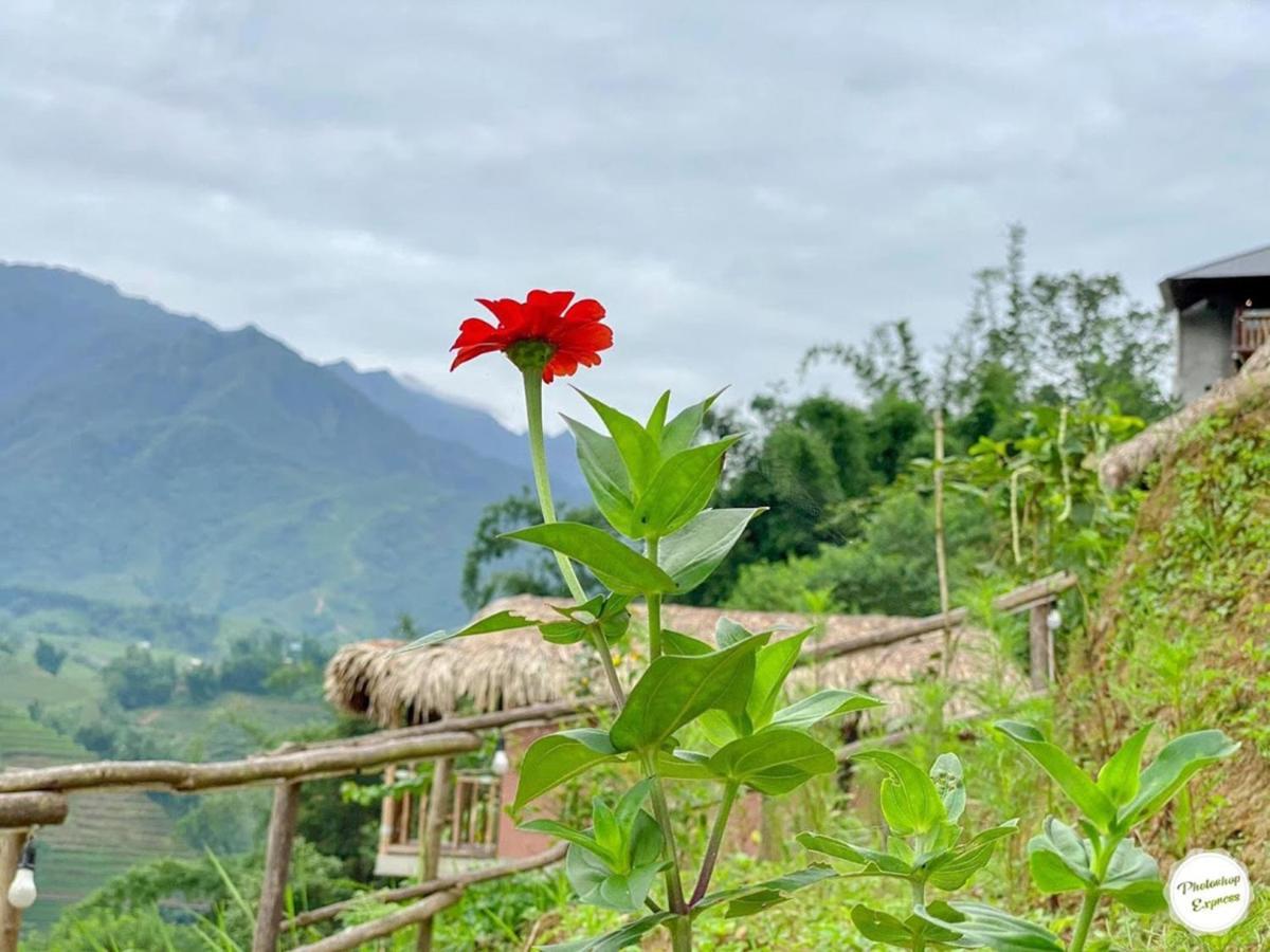 Chapa Farmstay - Mountain Retreat Sa Pa Exterior photo